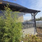 576370180_1311881694283435_9095081859315439455_n